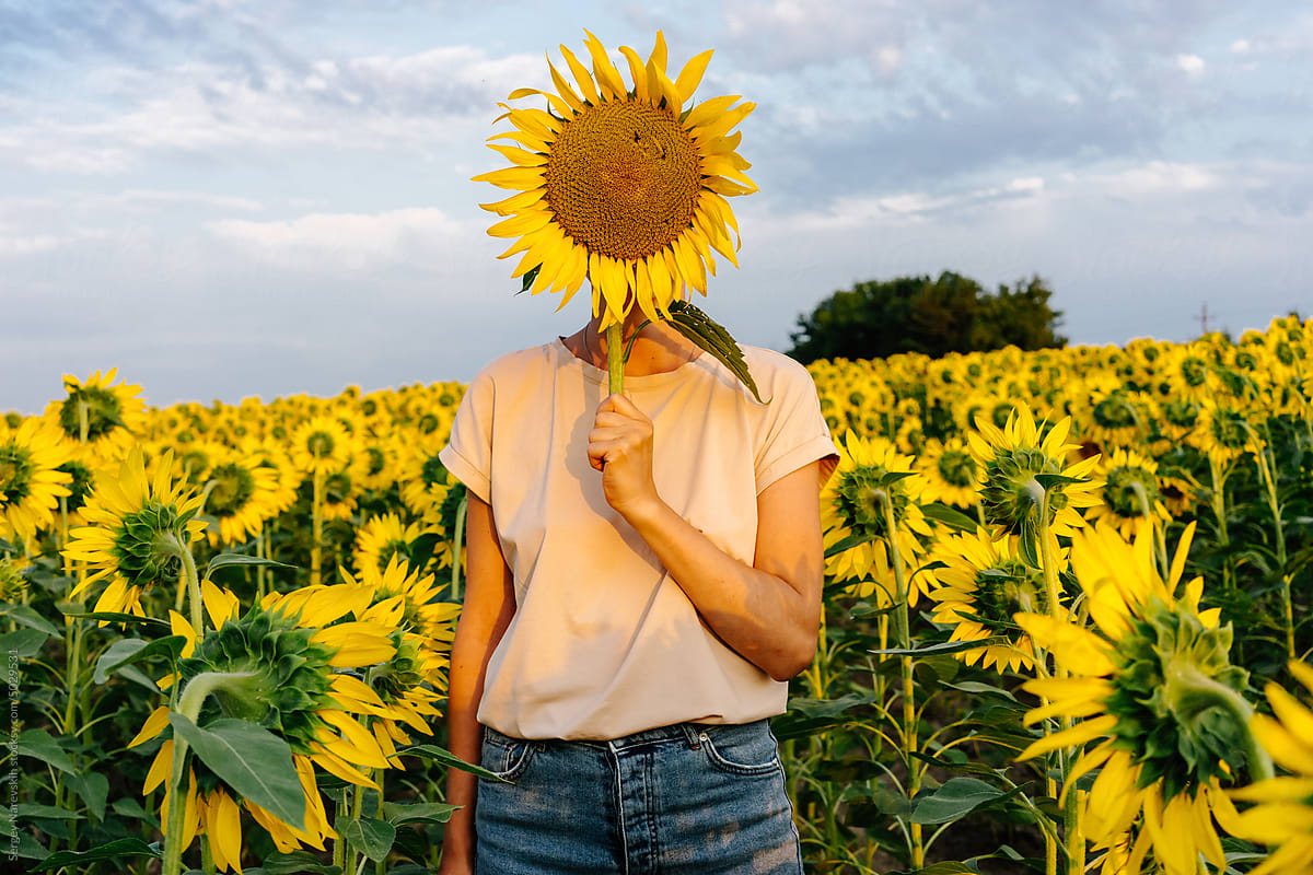 Person covering face with sunflower