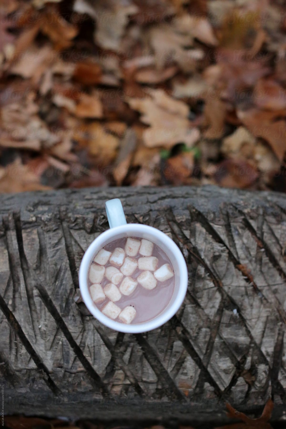 A Mug Of Hot Cocoa On A Log In An Autumn Forest