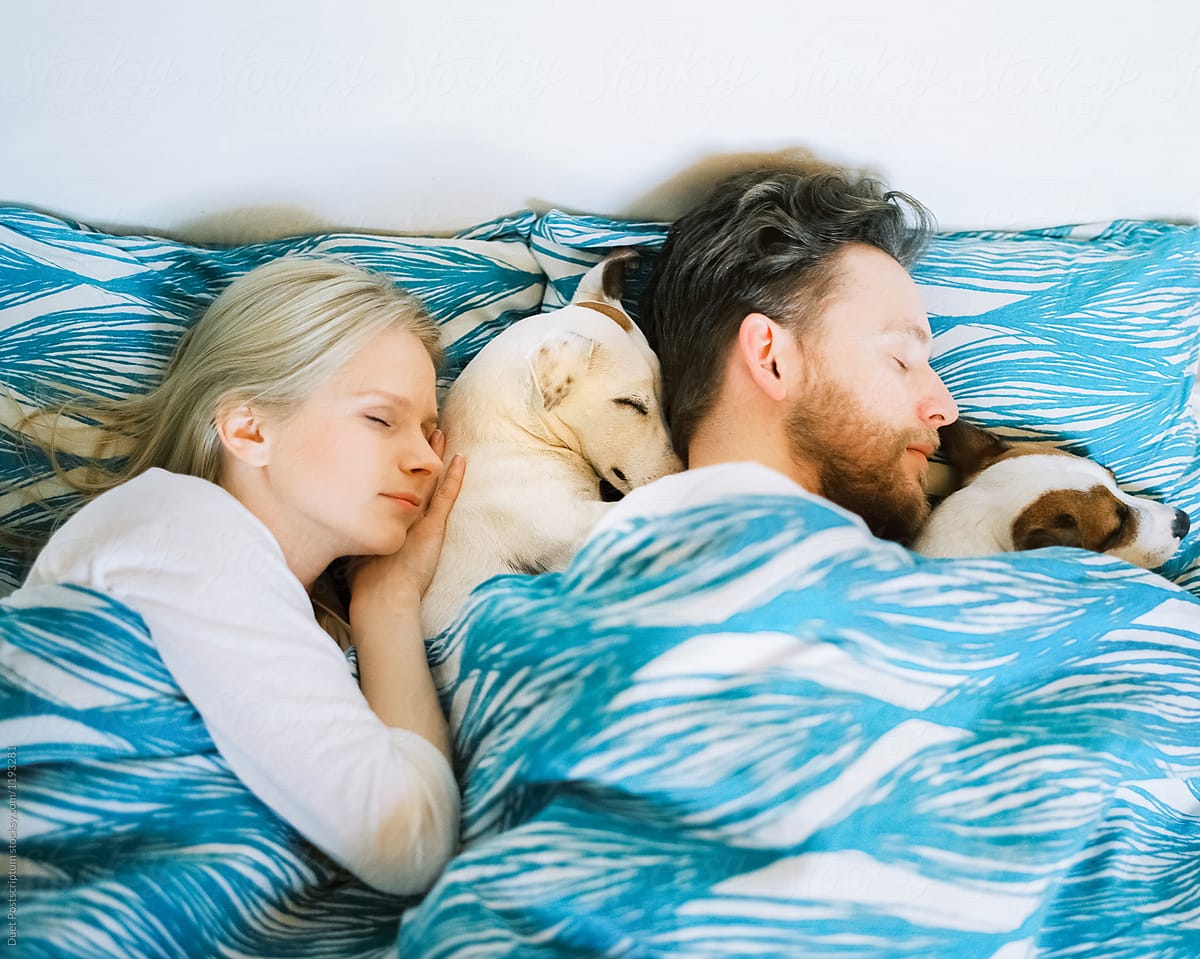 Couple sleeping with dogs