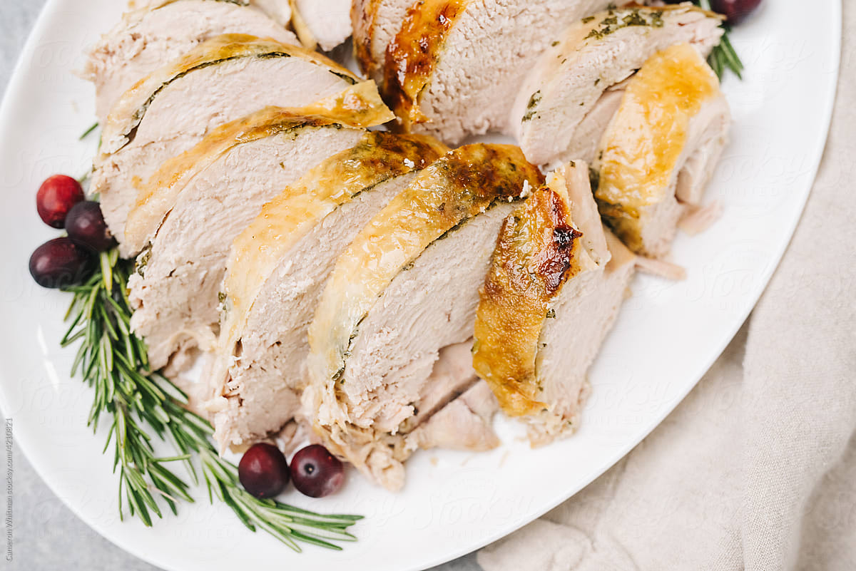 Overhead holiday-themed turkey breast