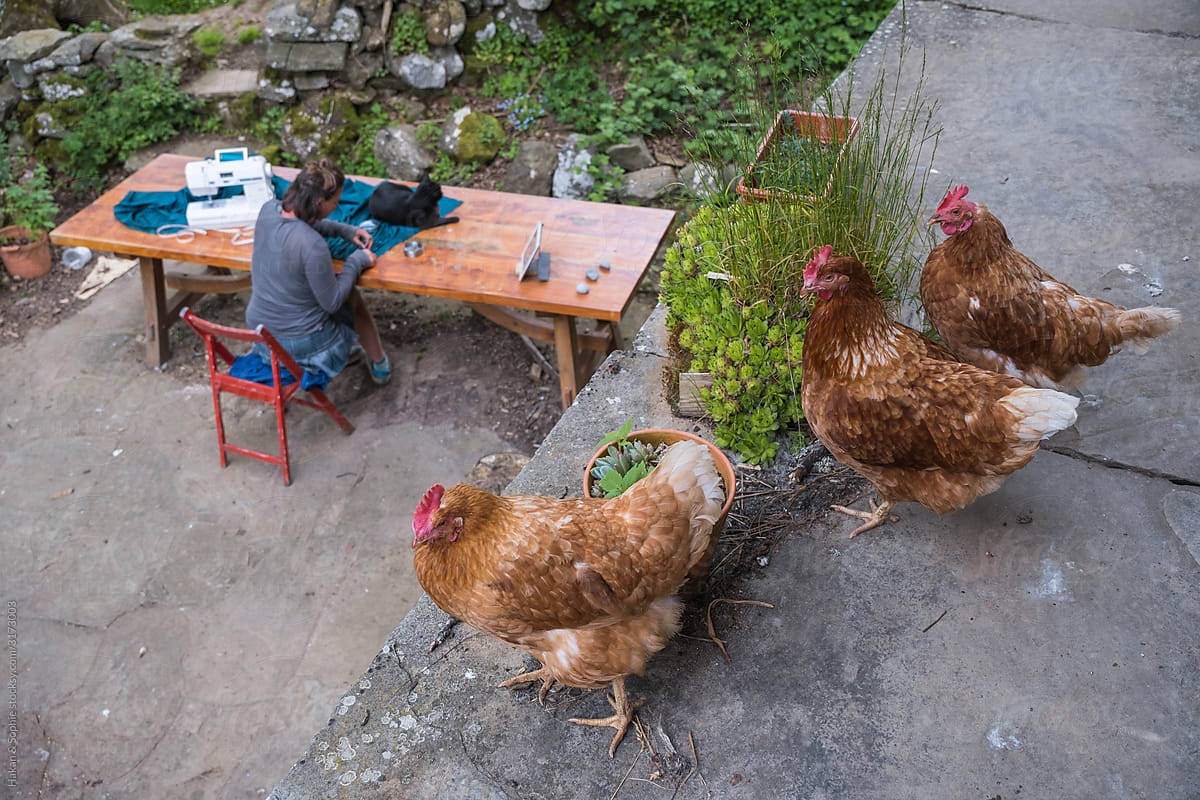 A woman is sewing, chickens are roaming