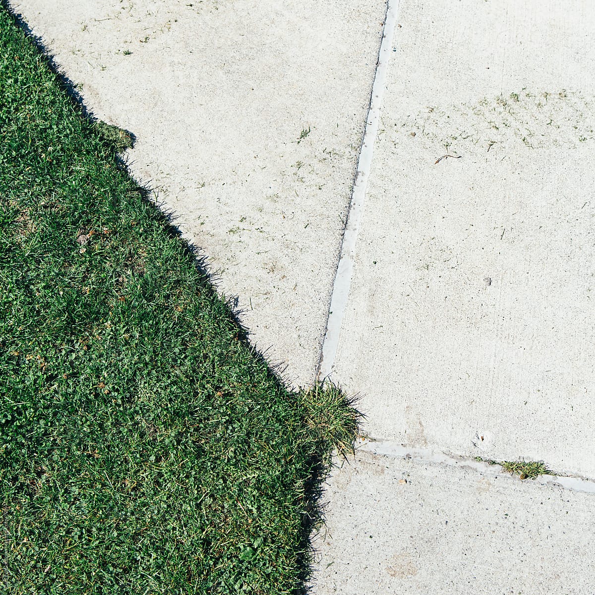 Freshly cut grass on sports field along edge of urban sidewalk