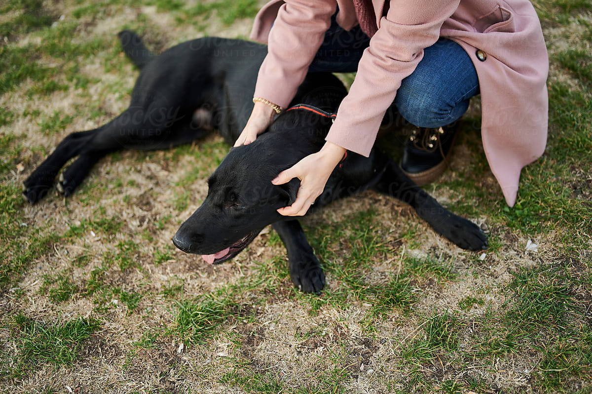 Female owner scratching black dog