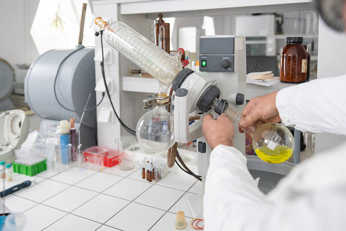 Person Working With Rotary Evaporator