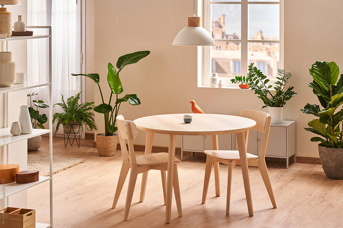 Minimalist table with chairs in modern apartment decorated with exotic houseplants