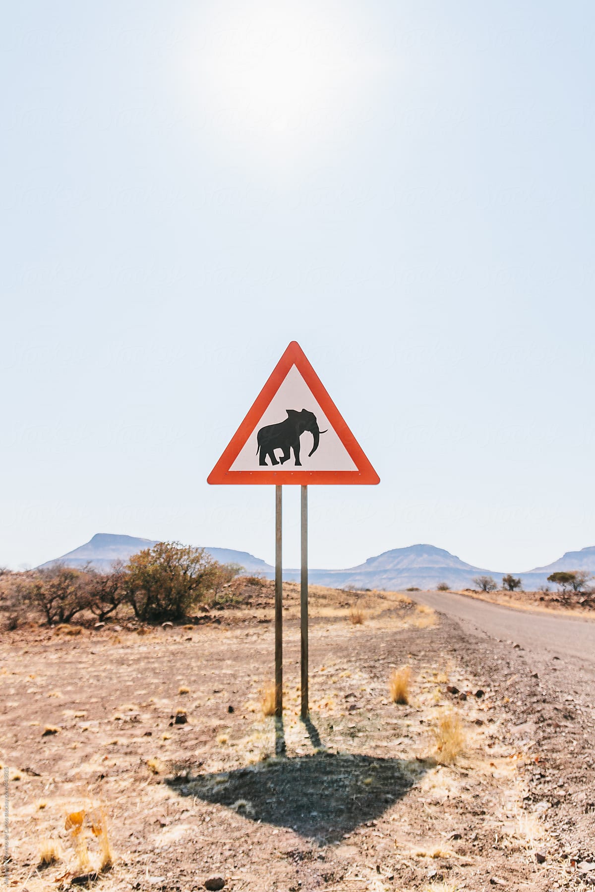 Elephants crossing warning sign in African road