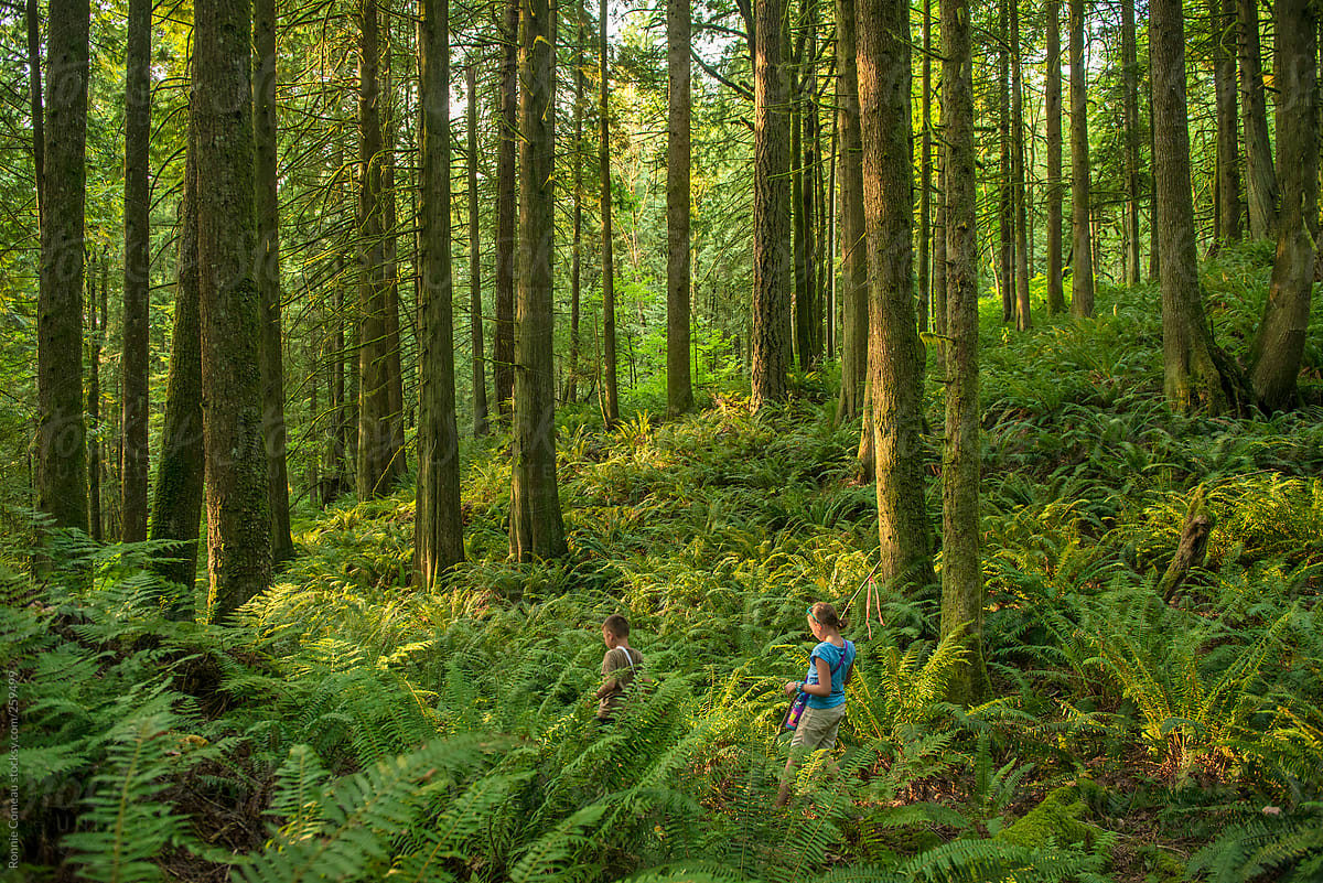 Kids Hiking On A Forest Trail