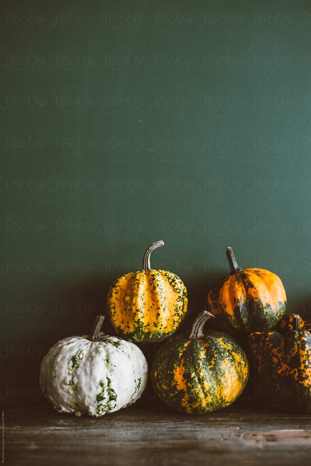 Colourful Pumpkins Stacked In Front Of The Green Chalkboard