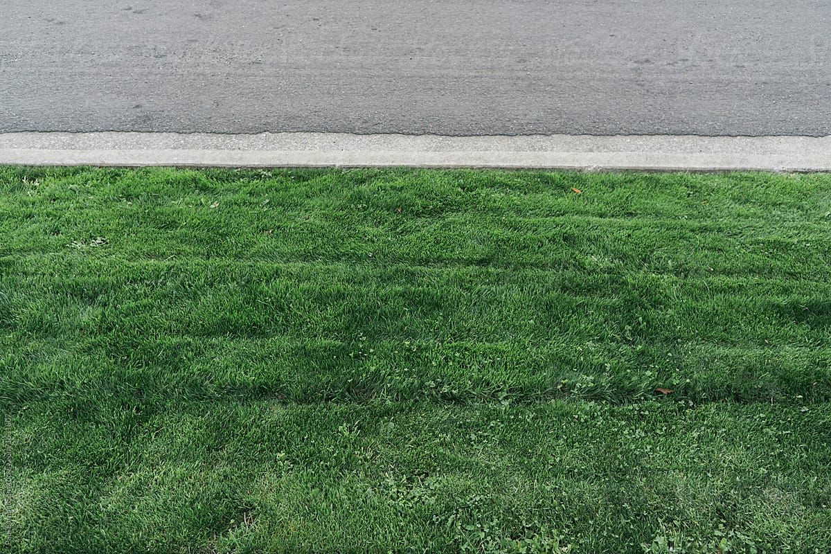 Freshly cut grass along street curb