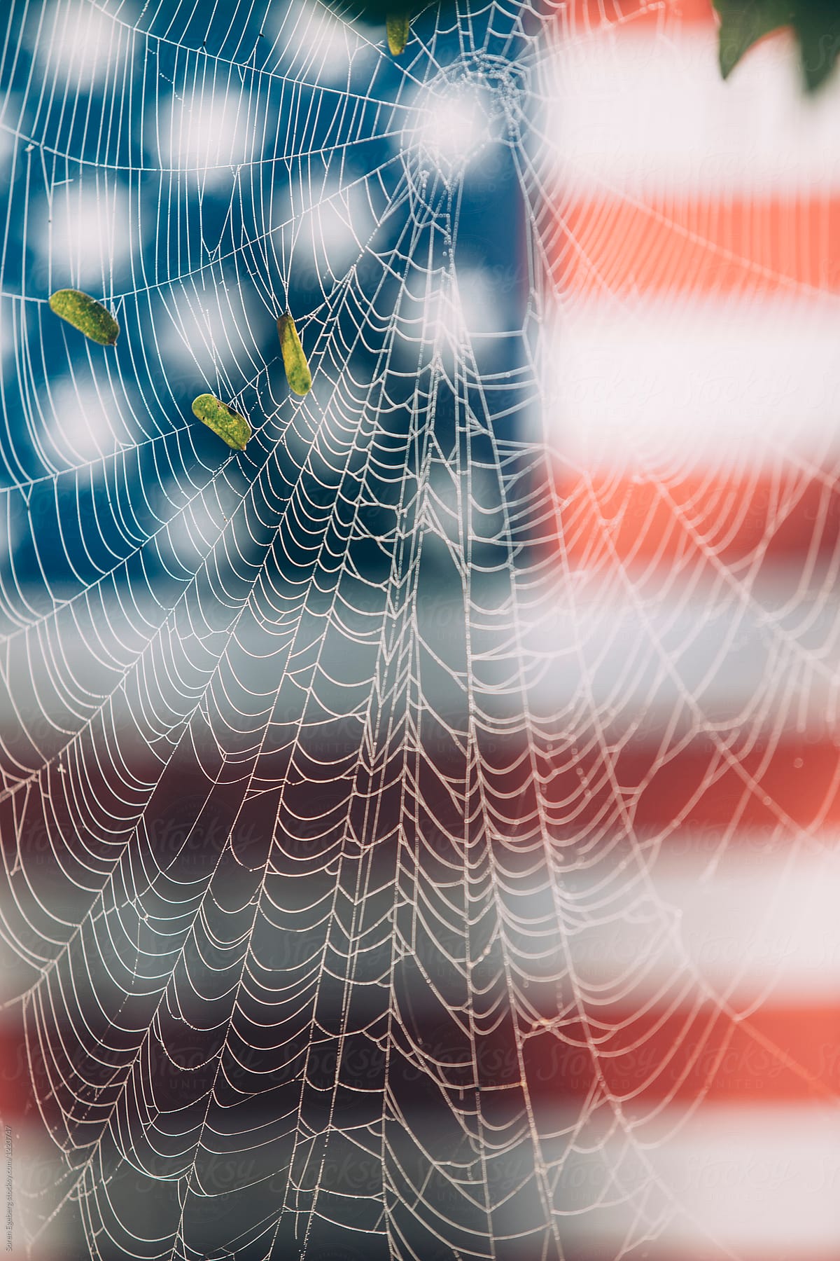 American flag covered by a spider web or cobweb