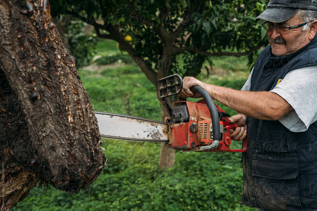Focused mature man cutting tree branch with chainsaw