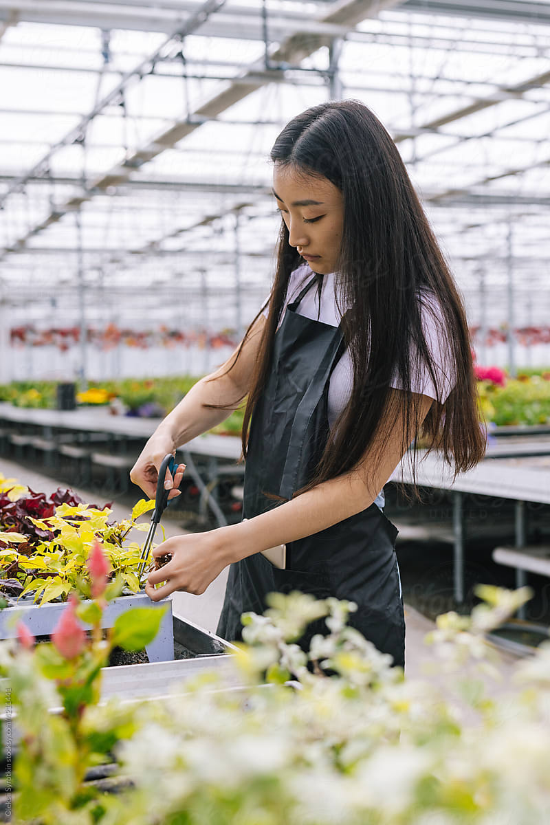 Asian woman concentrating on work with flowerpots