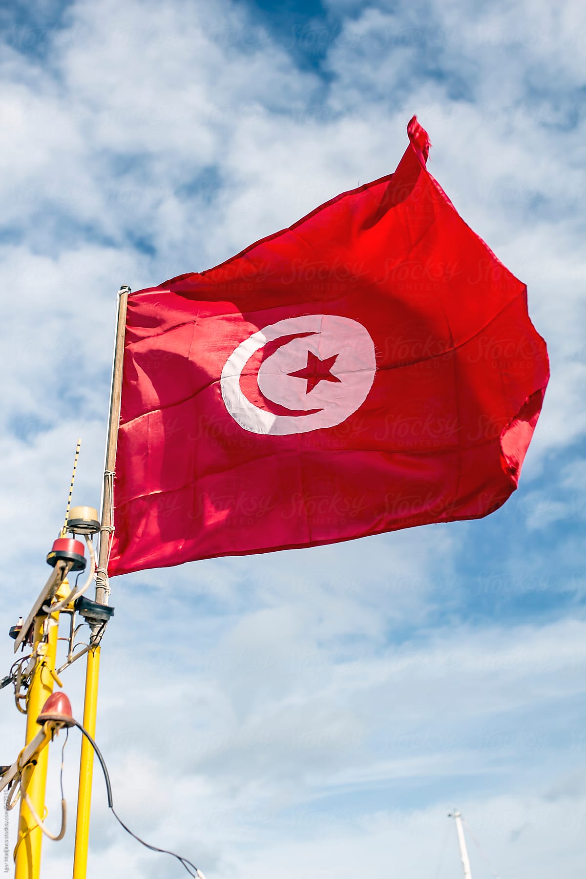 Flag of Tunisia waving in the wind