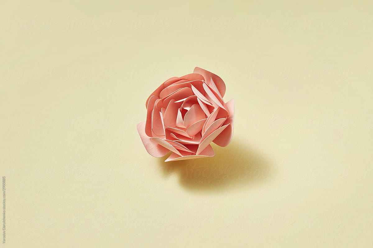 Paper craft pink rose with soft shadows.