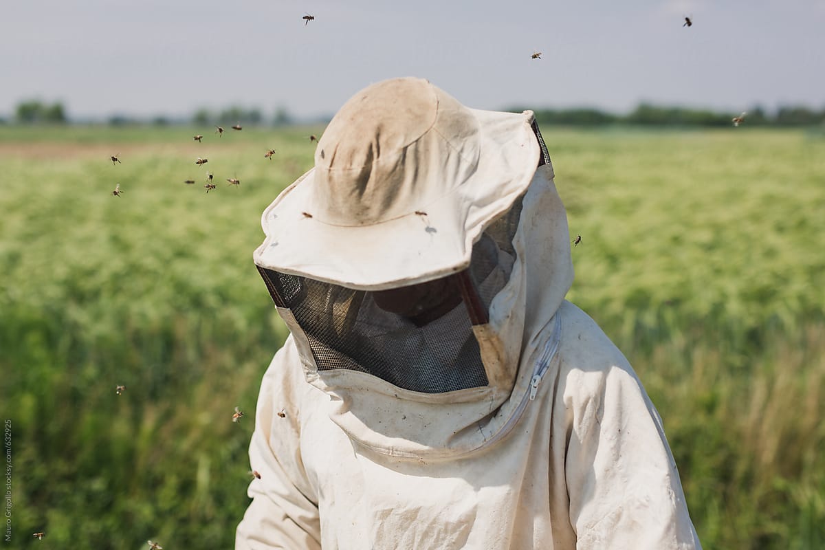 Clothing of a beekeeper