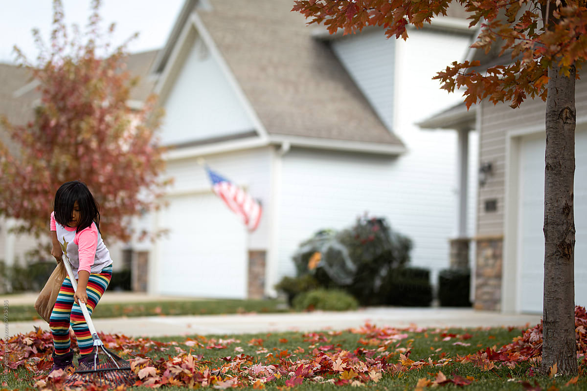 Young girl raking leaves in a neighborhood yard