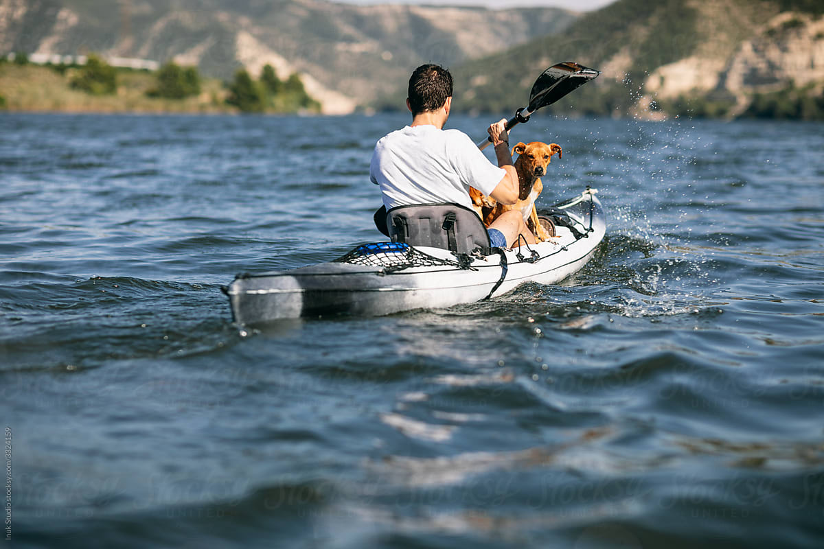 Anonymous man with dog kayaking on lake