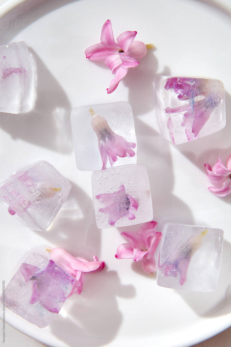 Closeup of ice cubes with blossoming purple flowers