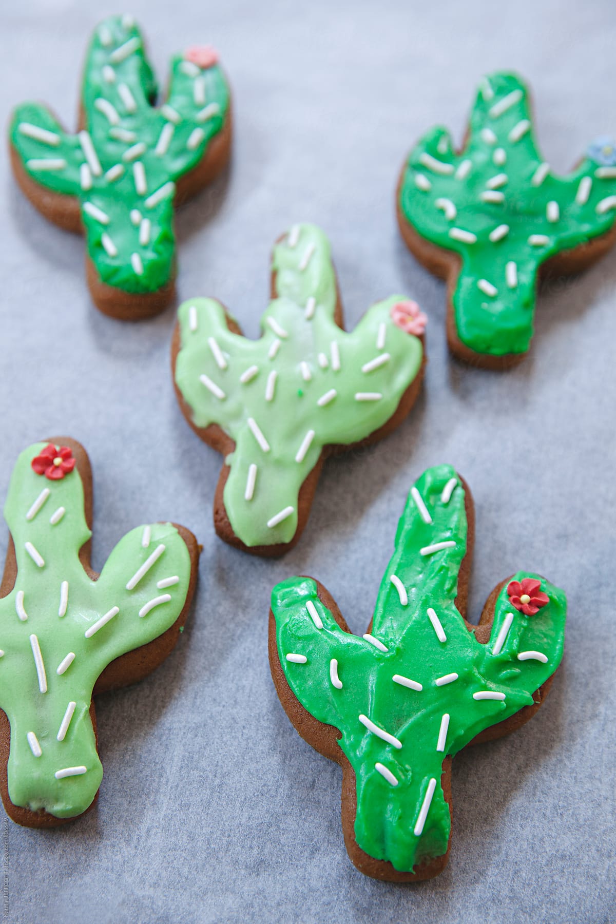 Home made gingerbread cookies in the shape of a cactus