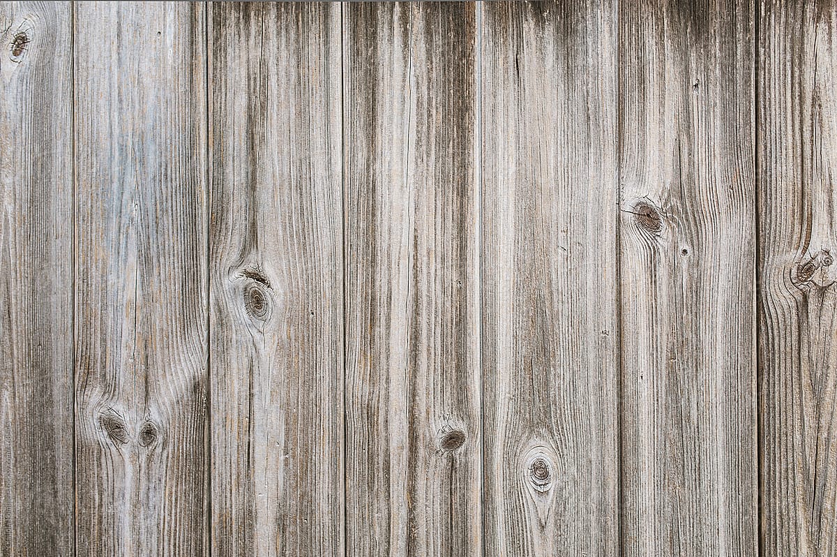 Texture of a Worn and Weathered Wood Background