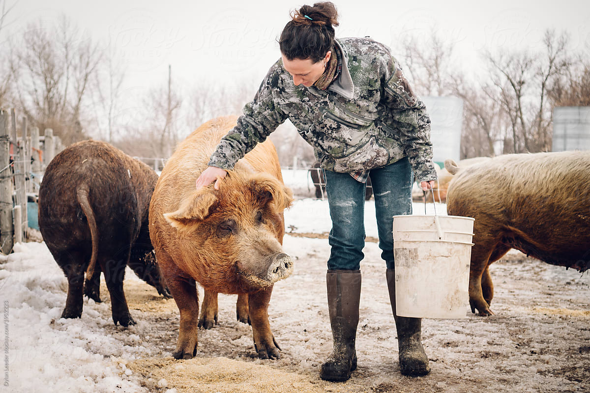 Female Farmer Pets Pig