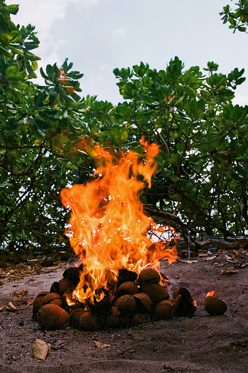 Camp fire on tropic island