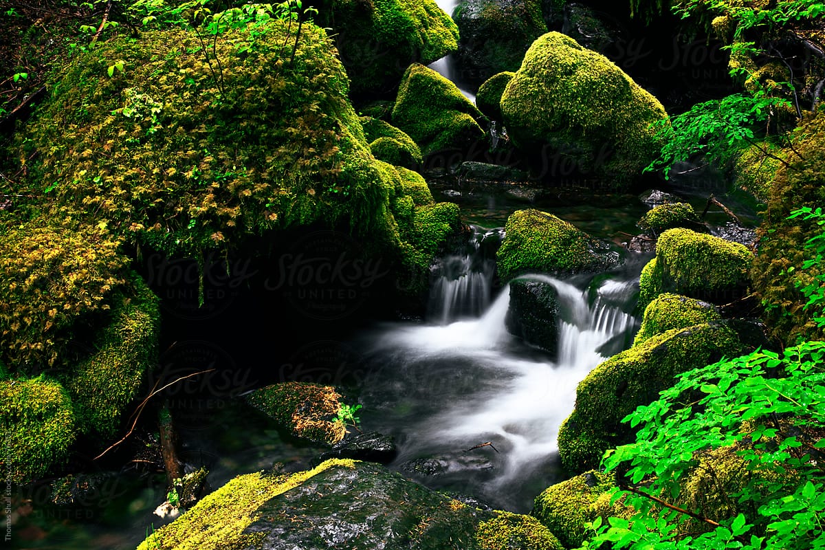 Mossy Rocks with Small Waterfall