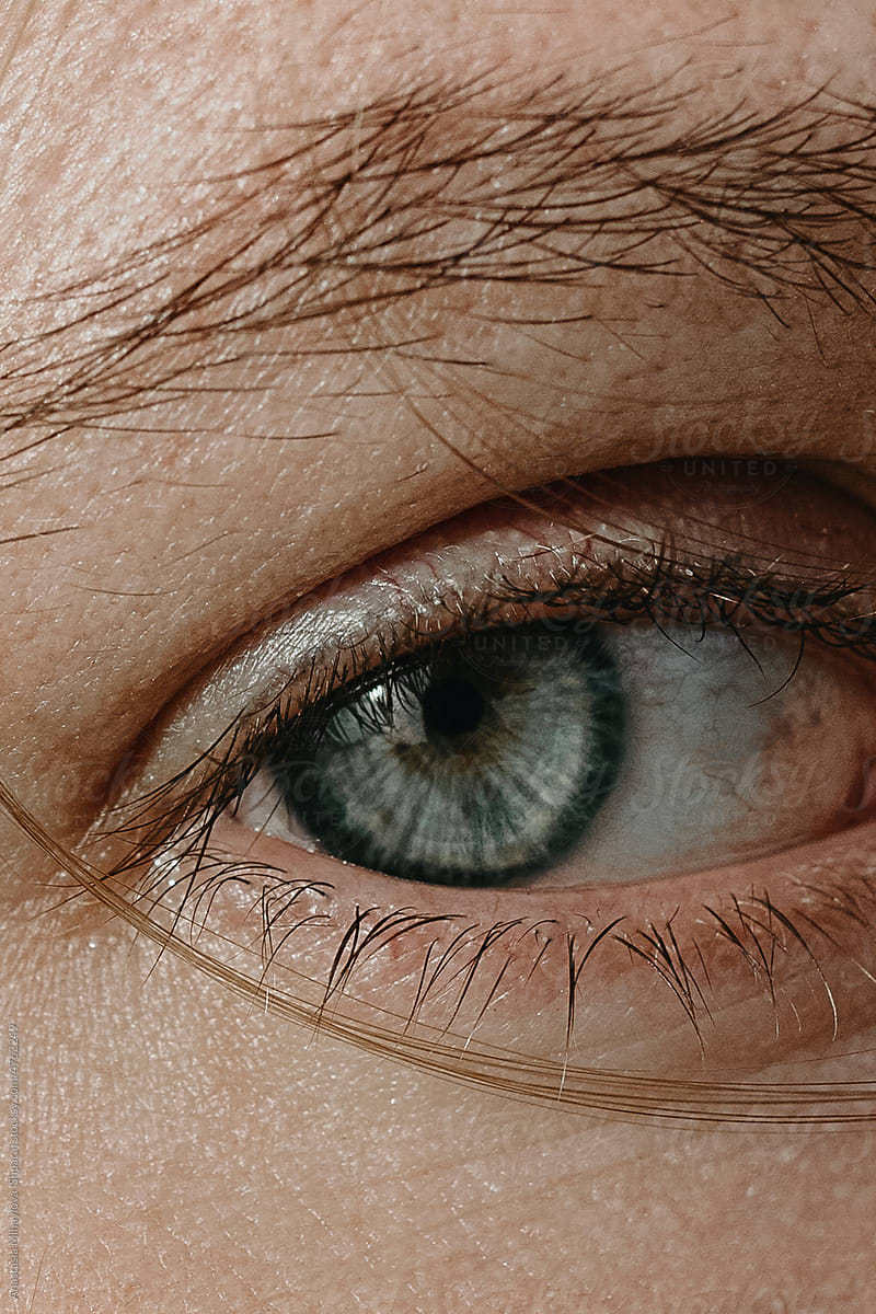 Detail Close Up Of A Human Eye