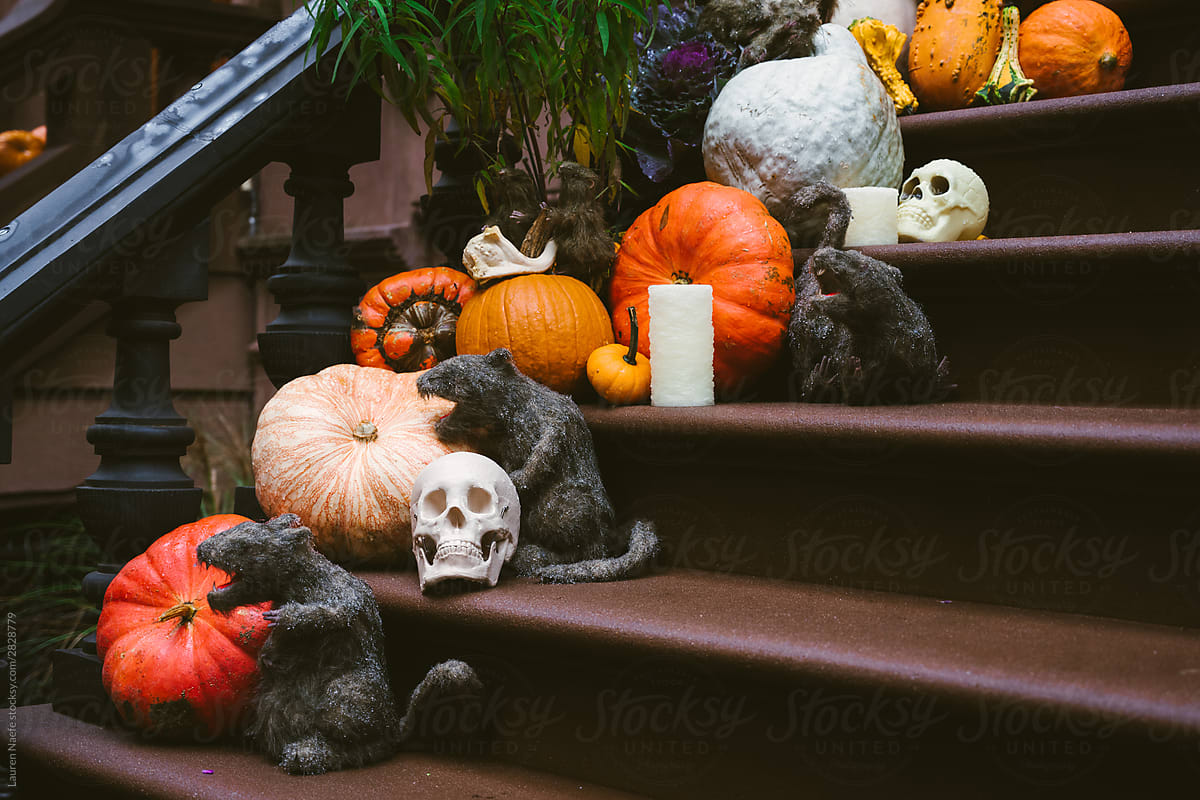 Pumpkins and gourds on stoop