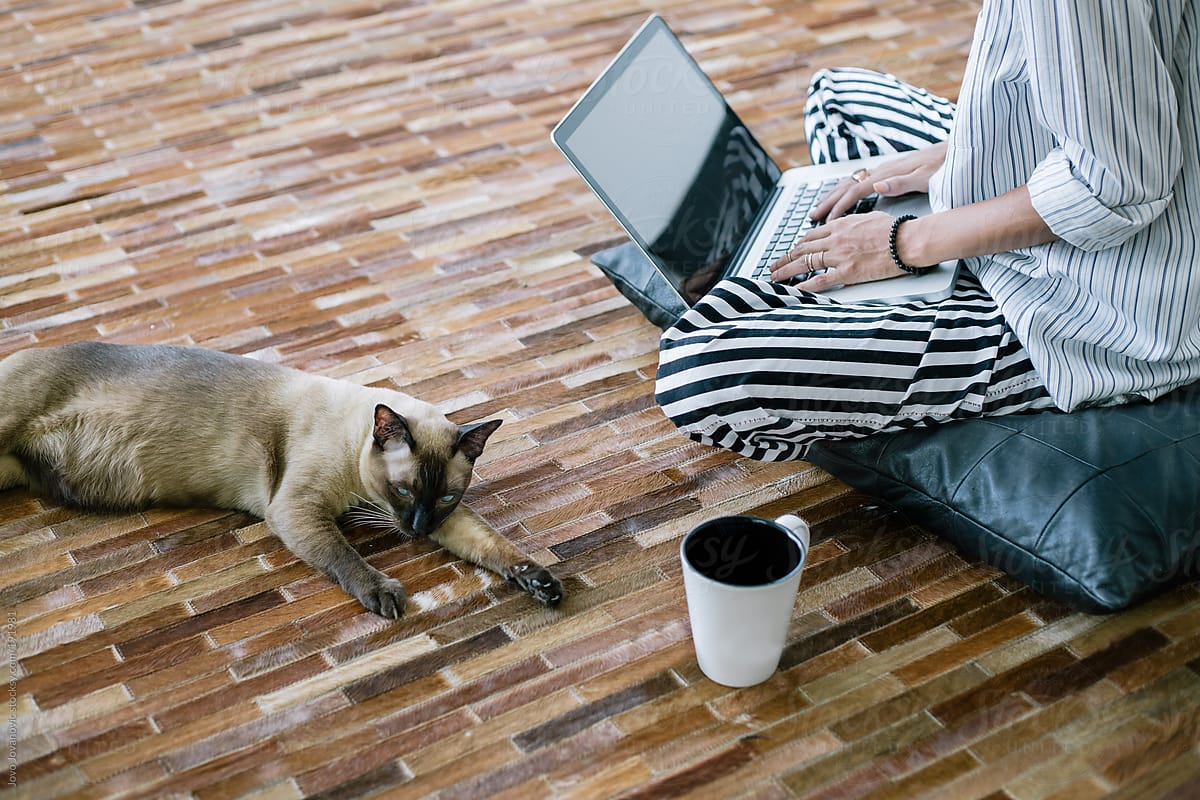 Woman working from home with cat