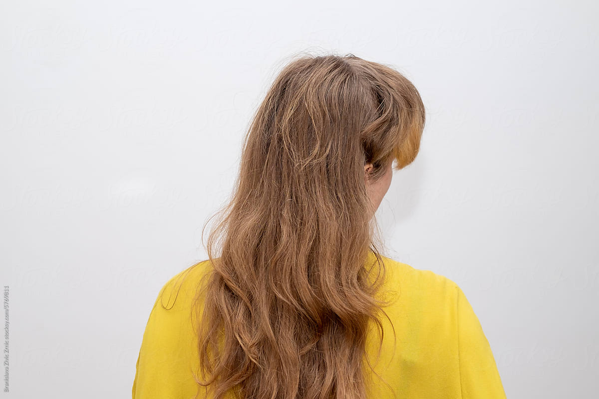 Female hair from the back