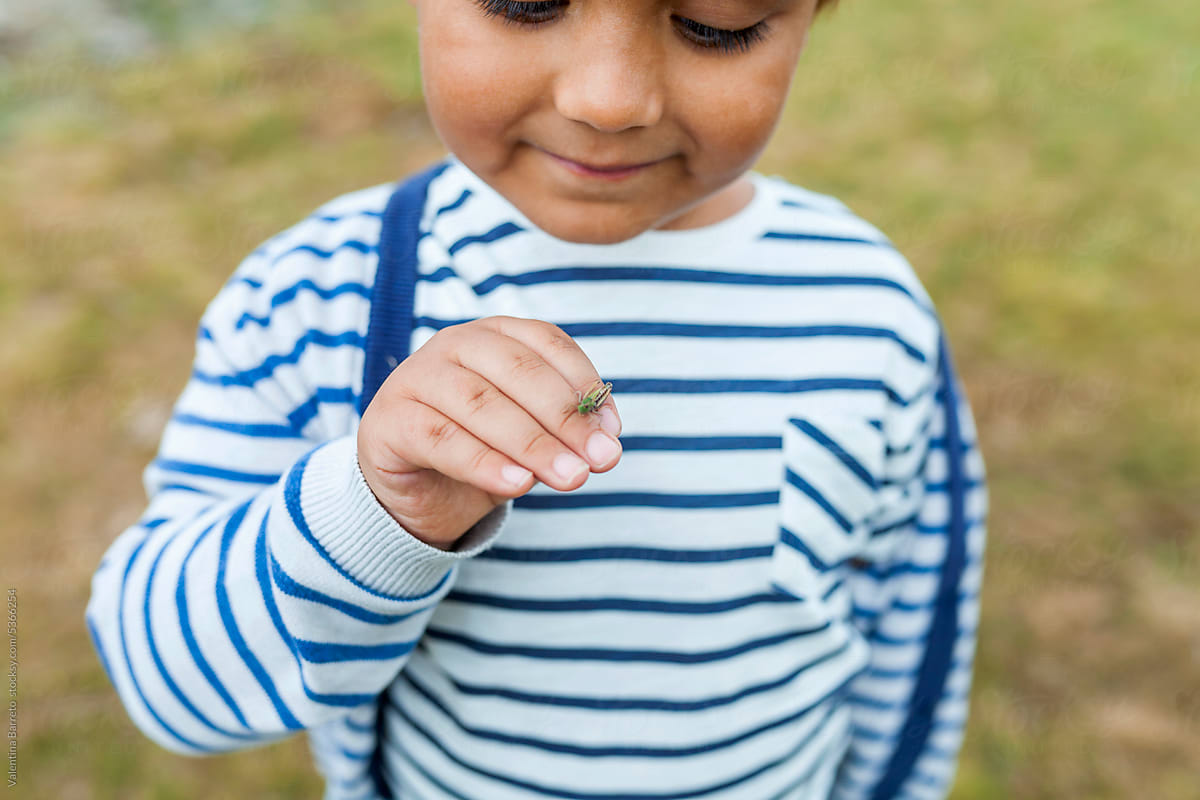 young boy holding ladybug
