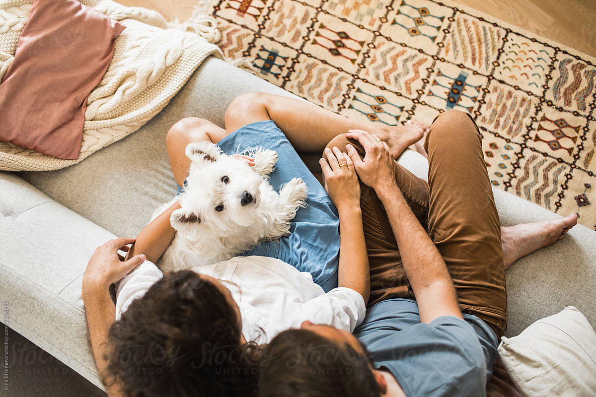 Couple on a couch with a Westie dog