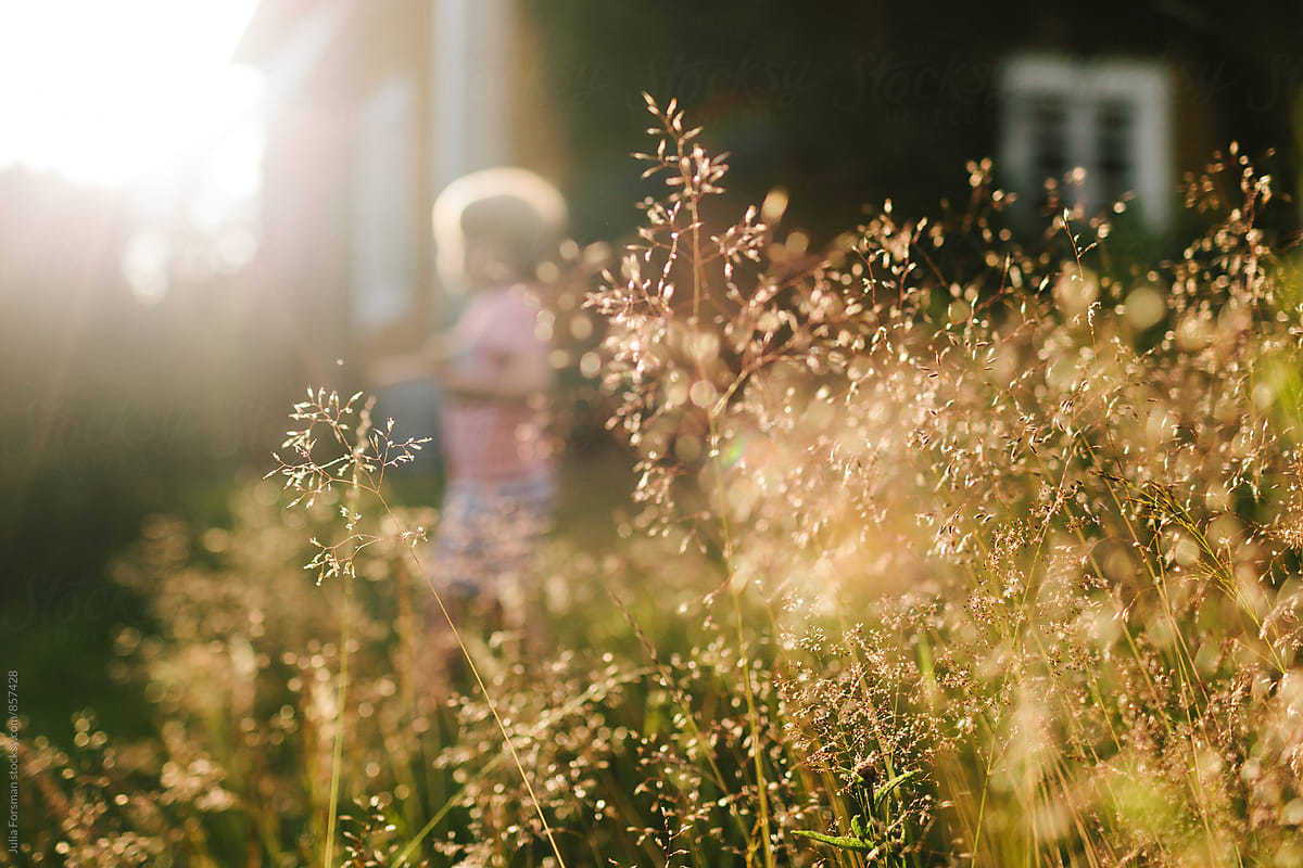 Sunlit grass and an out of focus child.