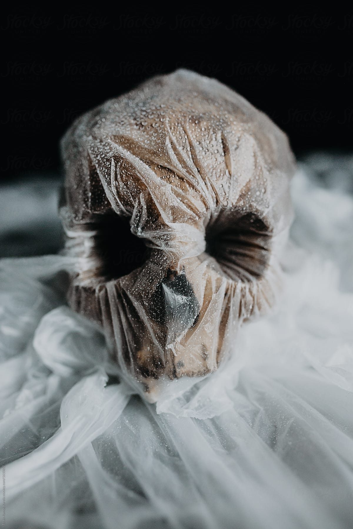 human skull covered by plastic