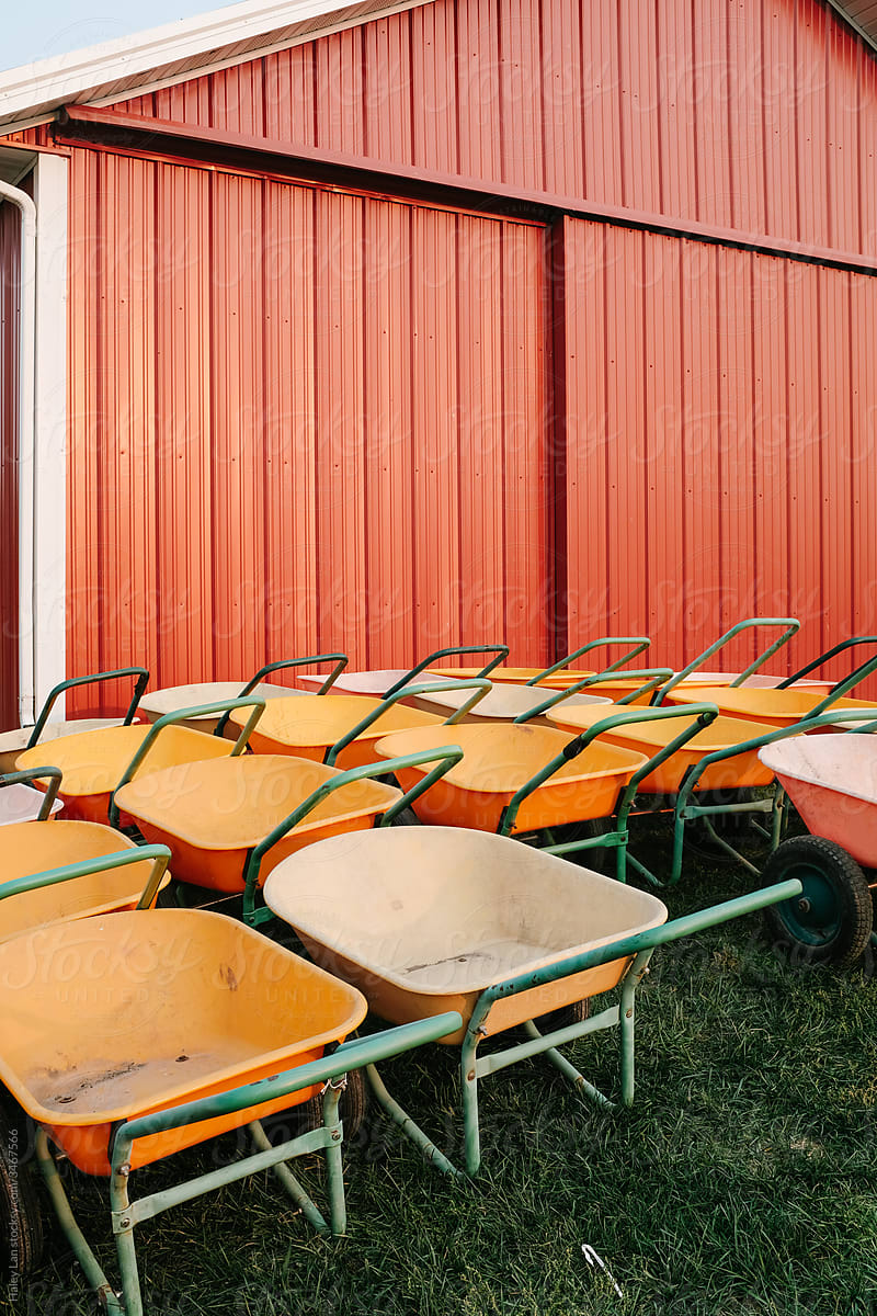 wheelbarrows in front of a red barn