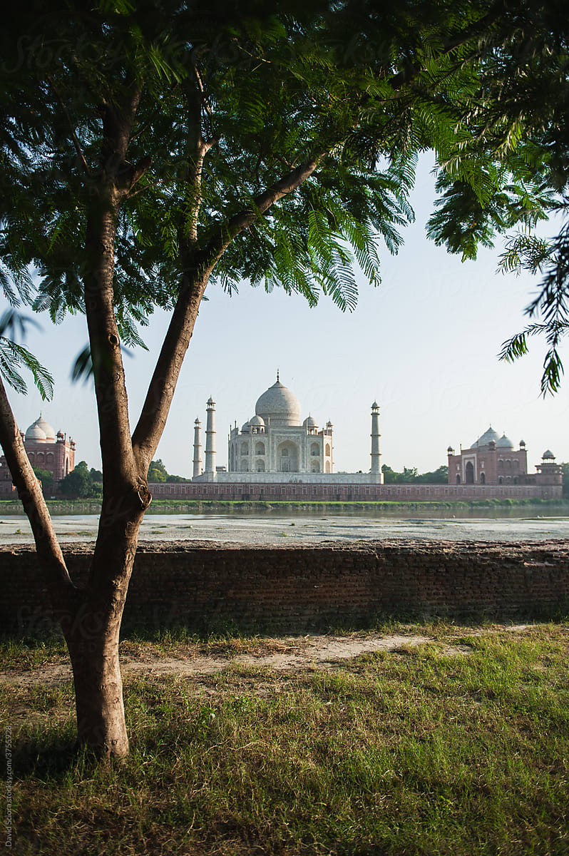 Landscape of Taj Mahal with tree and the river in the foreground