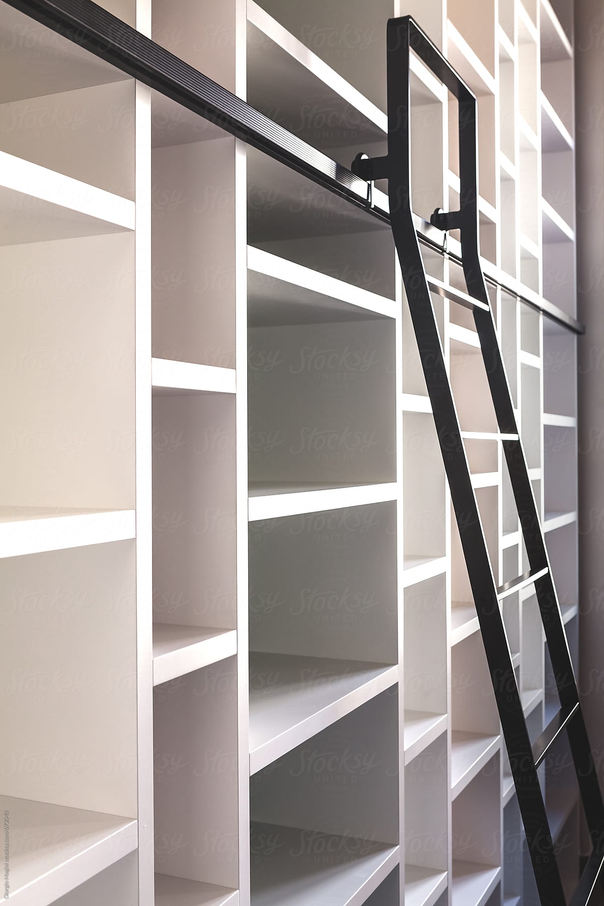 Empty Modern Bookcase with Ladder