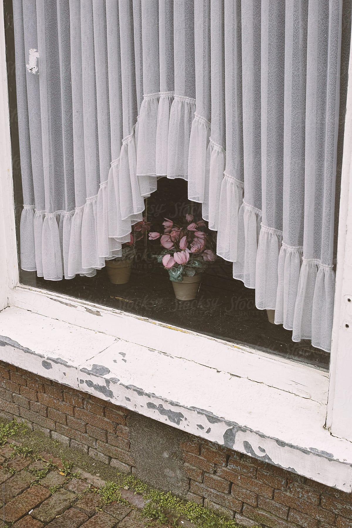 Fake cyclamen plant in the window of an old house