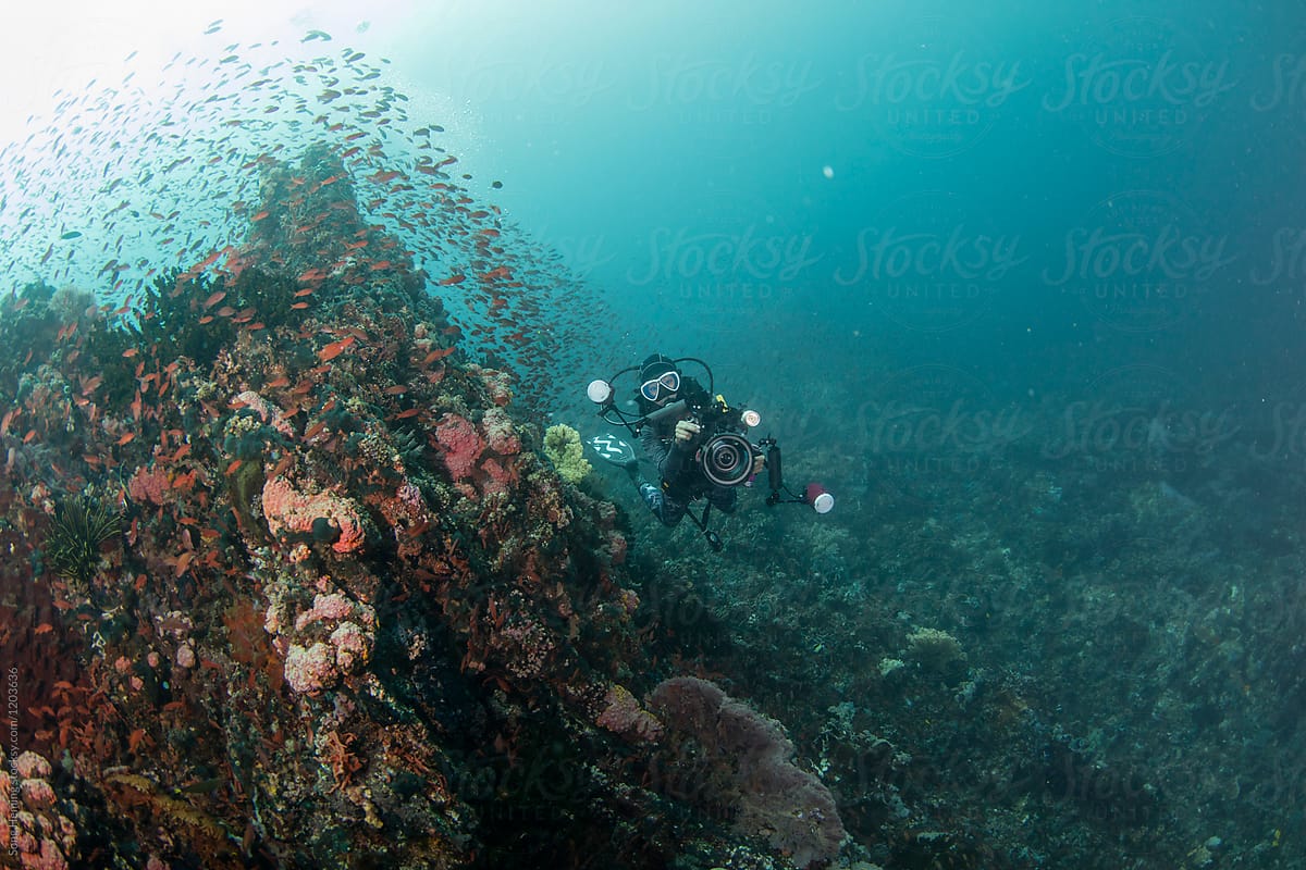 Female underwater photographer swimming on the reef