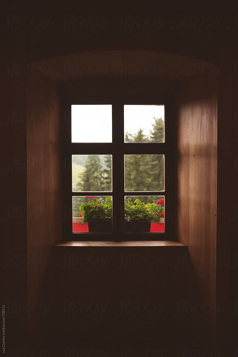 Dark room with an old window looking at trees and flowers on the sill