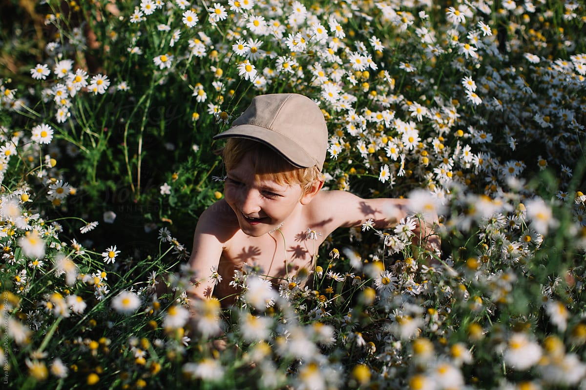 Happy boy in camomile field