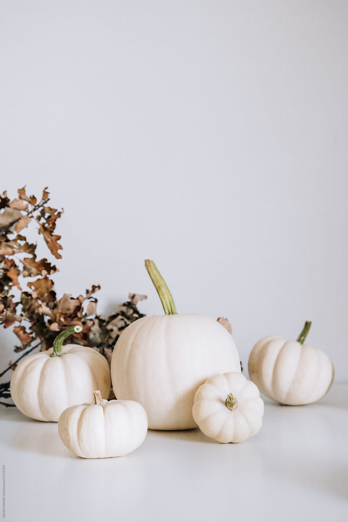 White pumpkins on white background by Nataša Mandić - Halloween