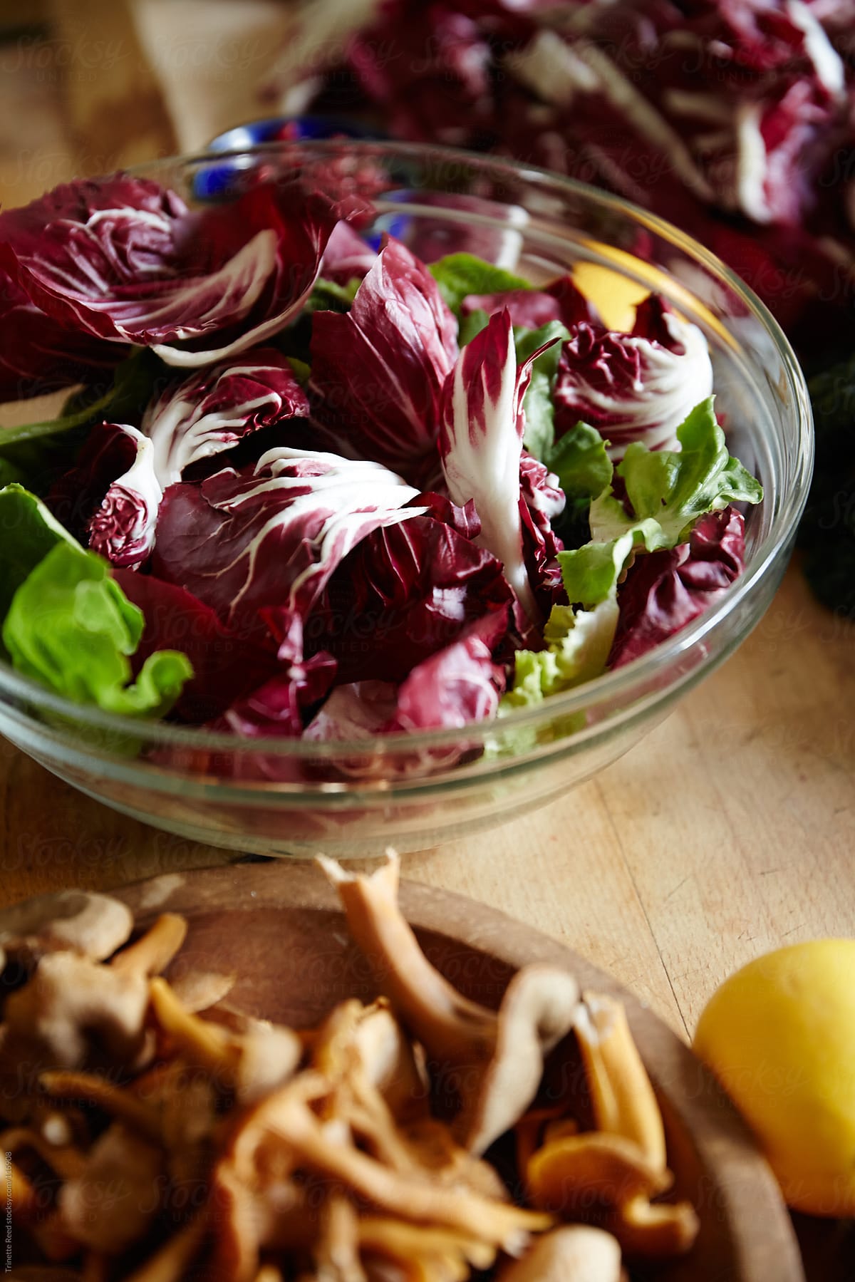 Butter lettuce and radicchio salad, wild mushrooms on kitchen counter