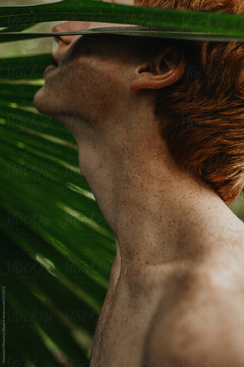 Half-Face Portrait and Shoulders of Freckled Ginger Man in the Leaves