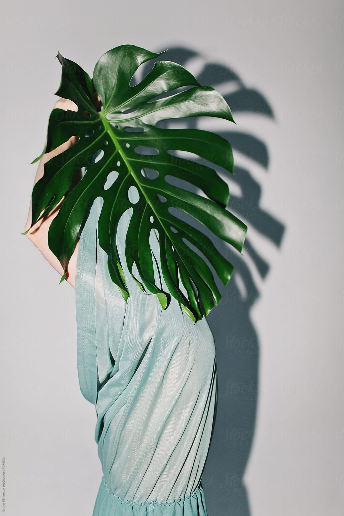 Anonymous model with plant