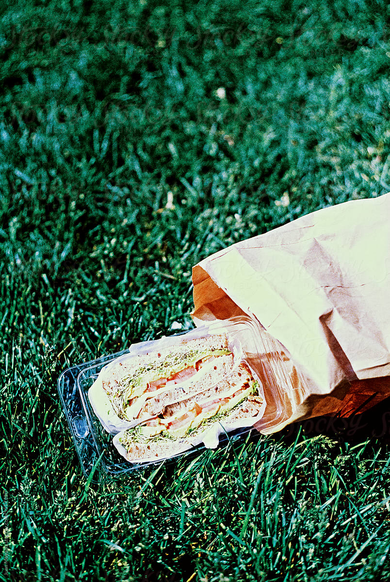 a pepared sandwich at the park, 35mm