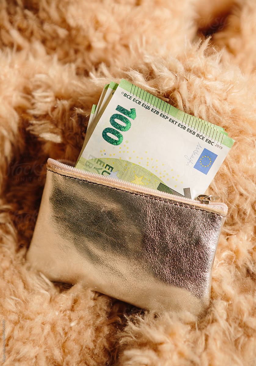 100 euro notes in a silver purse