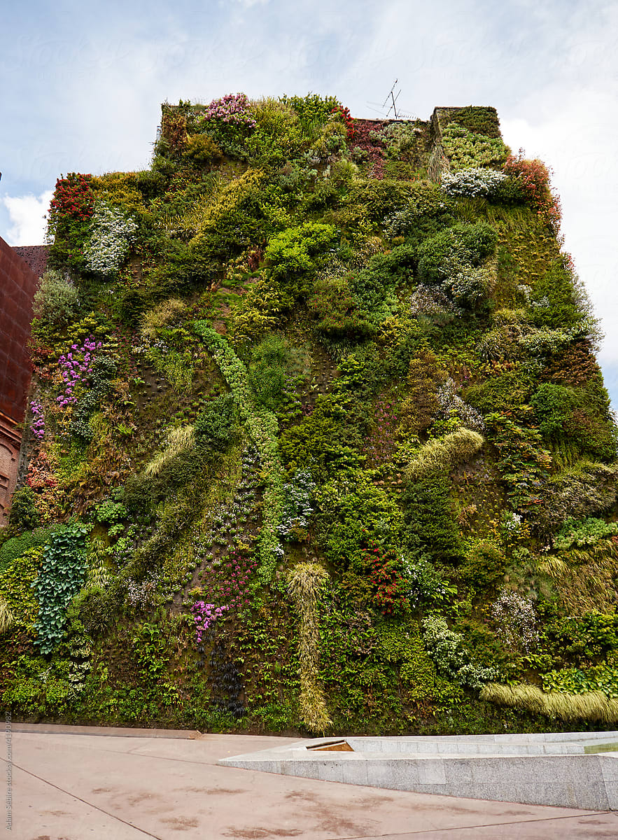 Vertical garden green wall - eco friendly architecture
