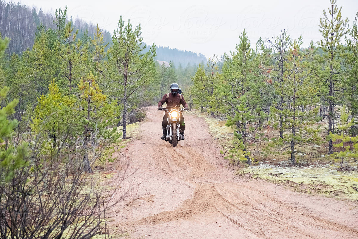 A man rides a classic motorcycle through a pine forest